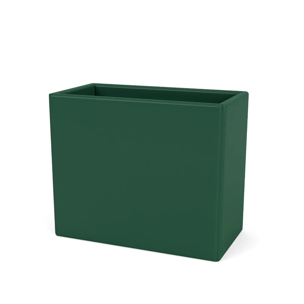 Collect Organizer, pine 136 Montana