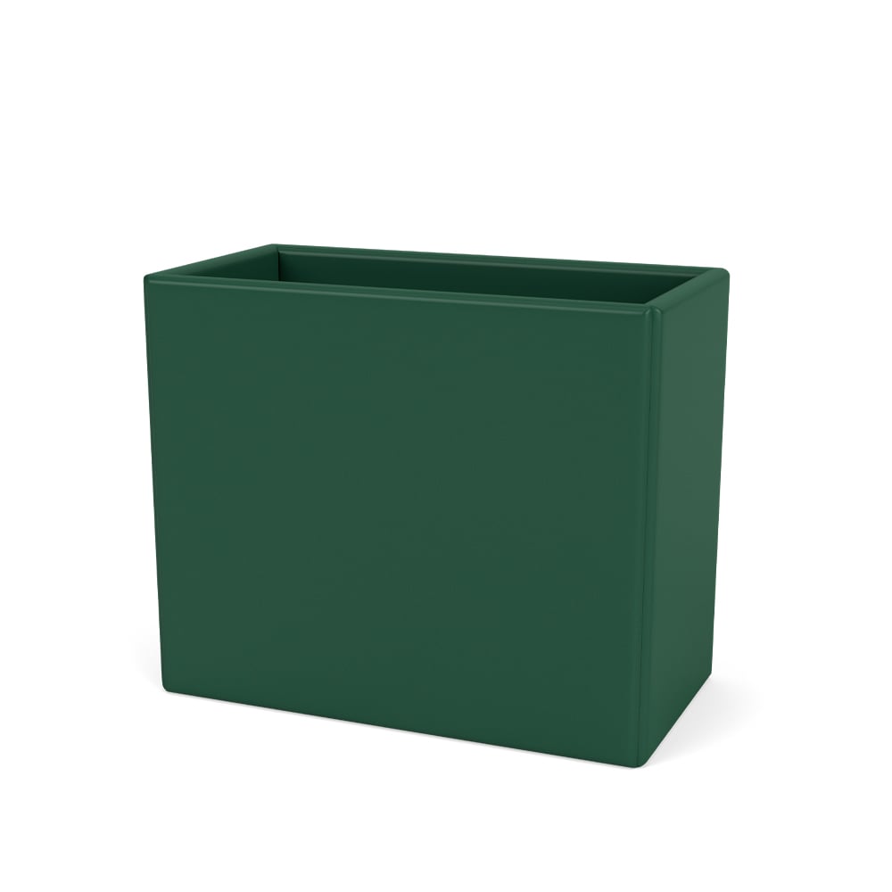 Montana Collect Organizer pine 136 | Design Scandinave | Boites & bocaux | Vert