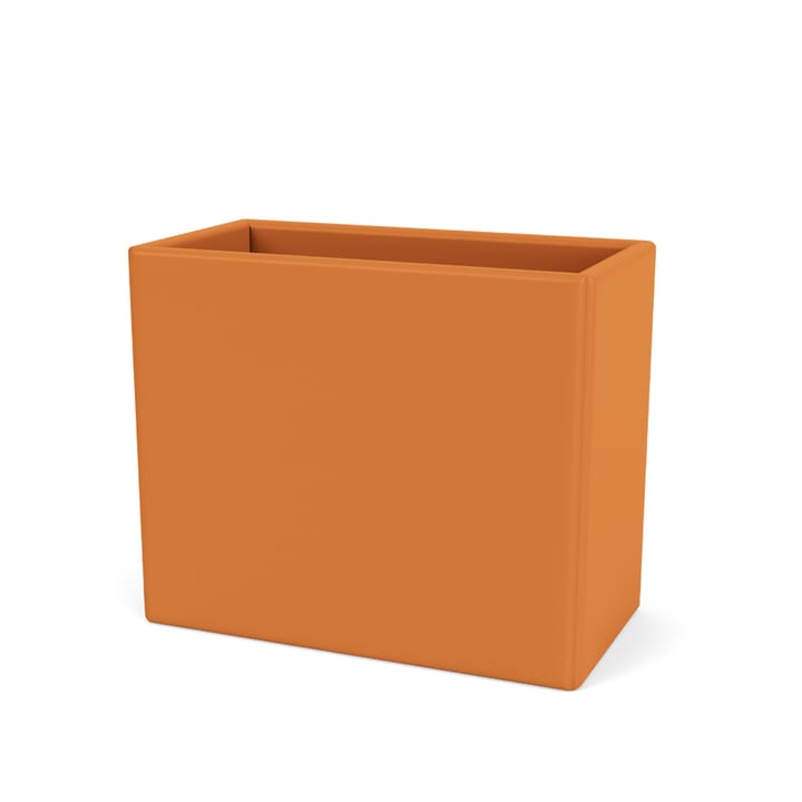 Collect Organizer - tumeric 149 - Montana