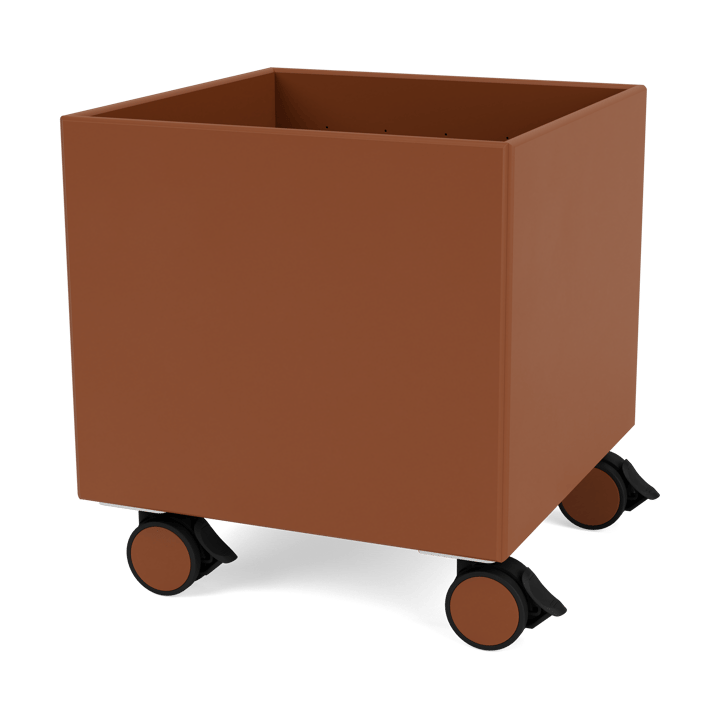 Colour Box I – S6161 - Hazelnut - Montana