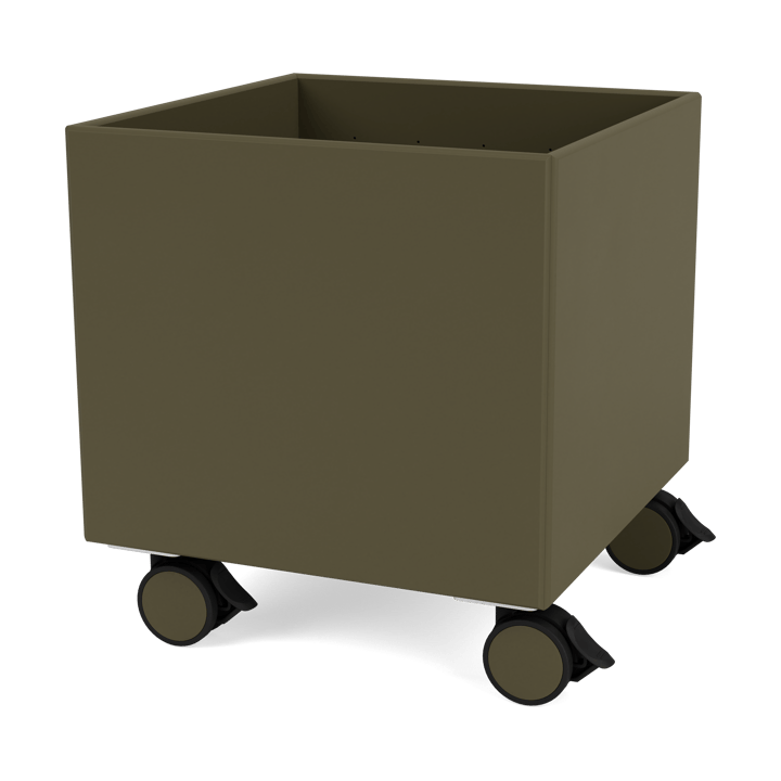 Colour Box I – S6161 - Oregano - Montana