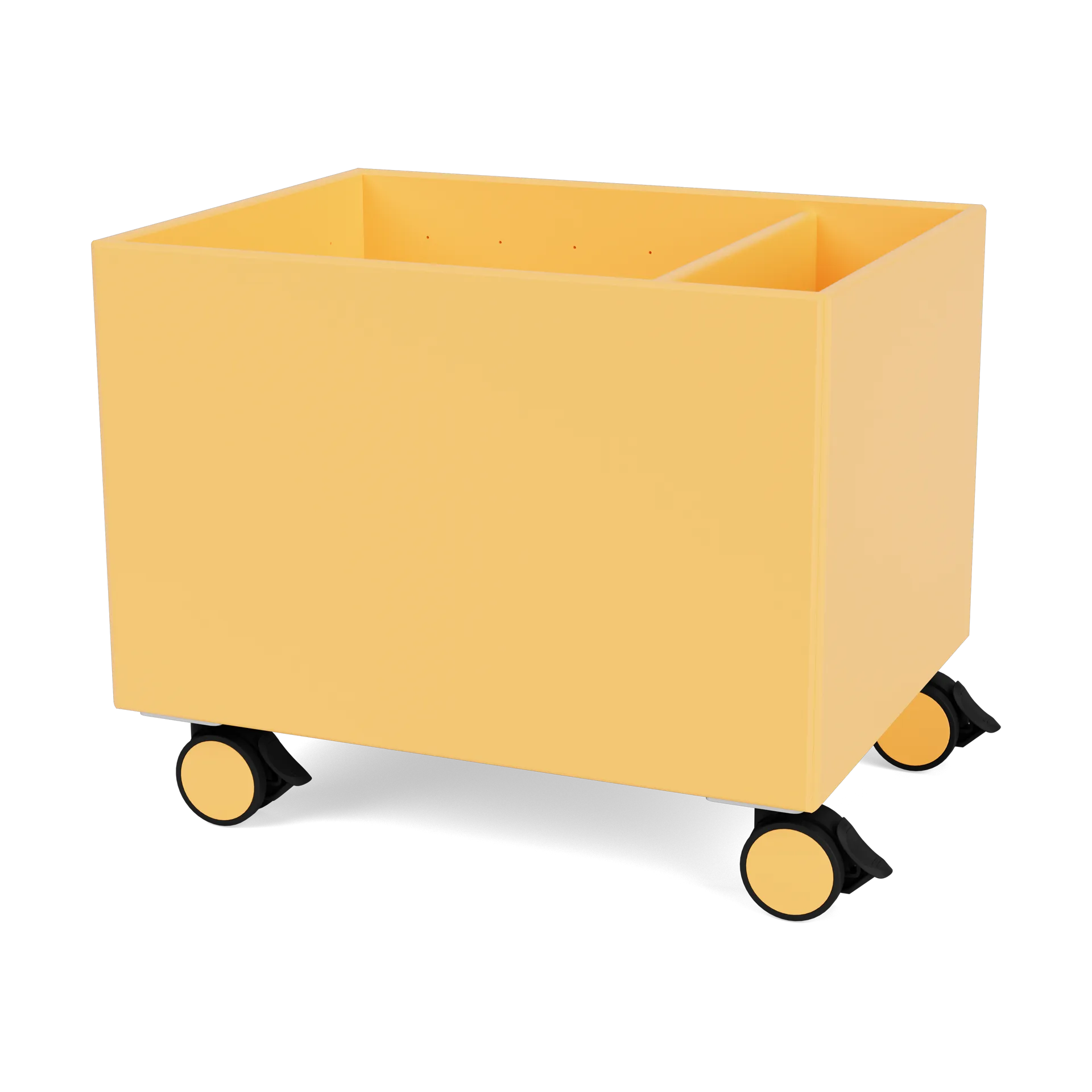 Colour Box II, Acacia Montana