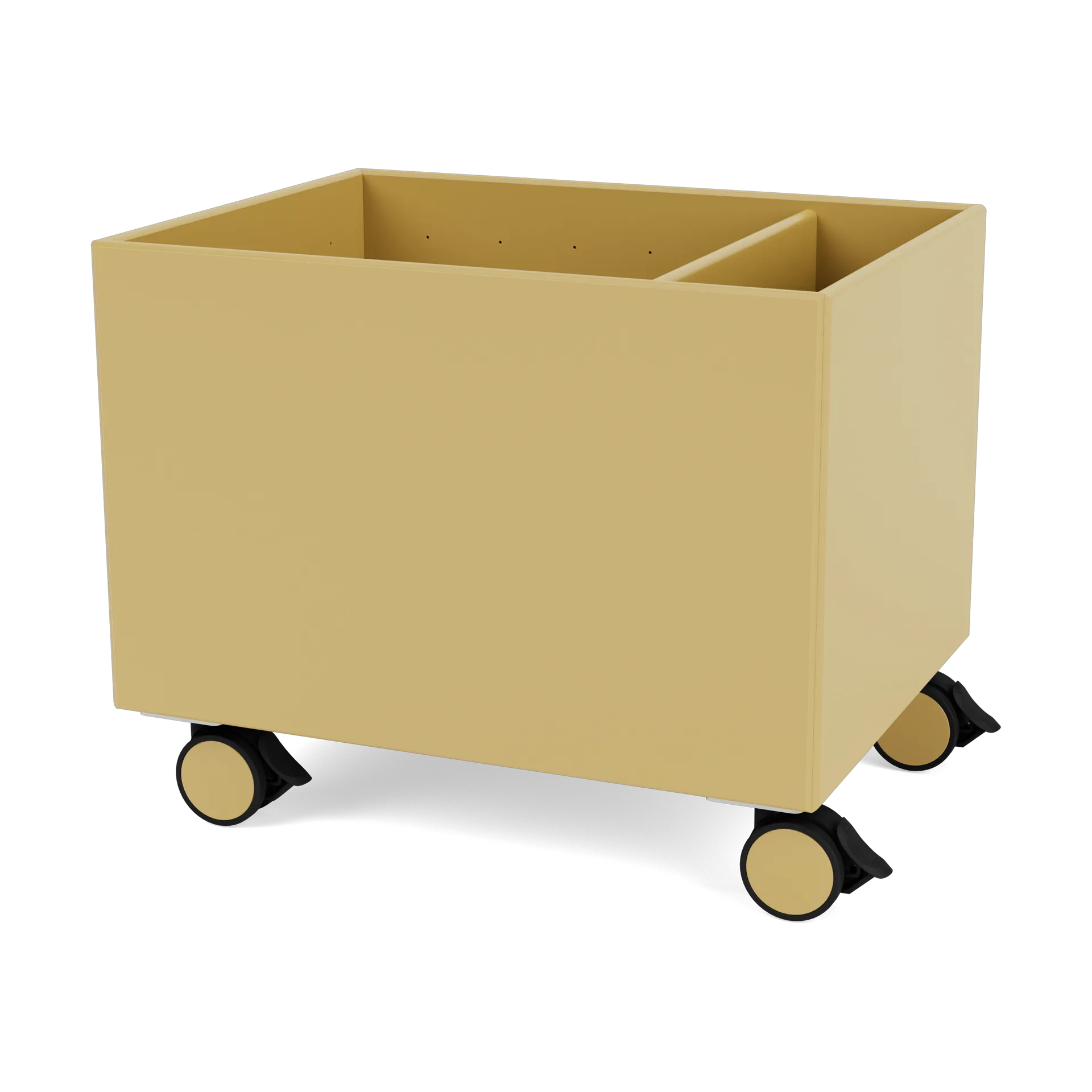 Colour Box II, Cumin Montana