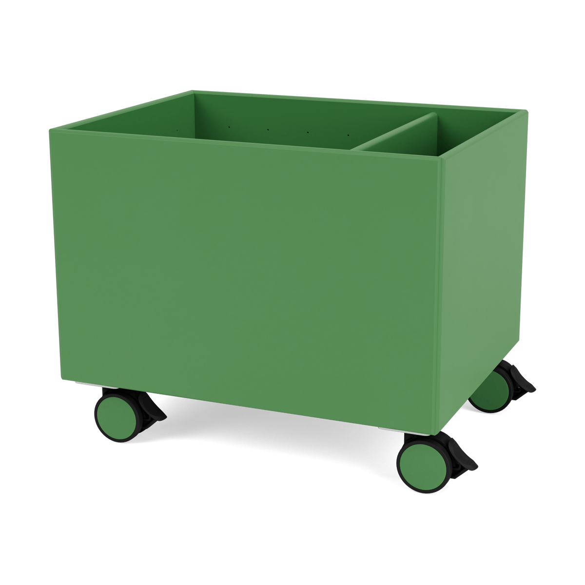 Montana Colour Box II Parsley | Design Scandinave | Paniers de rangement | Vert