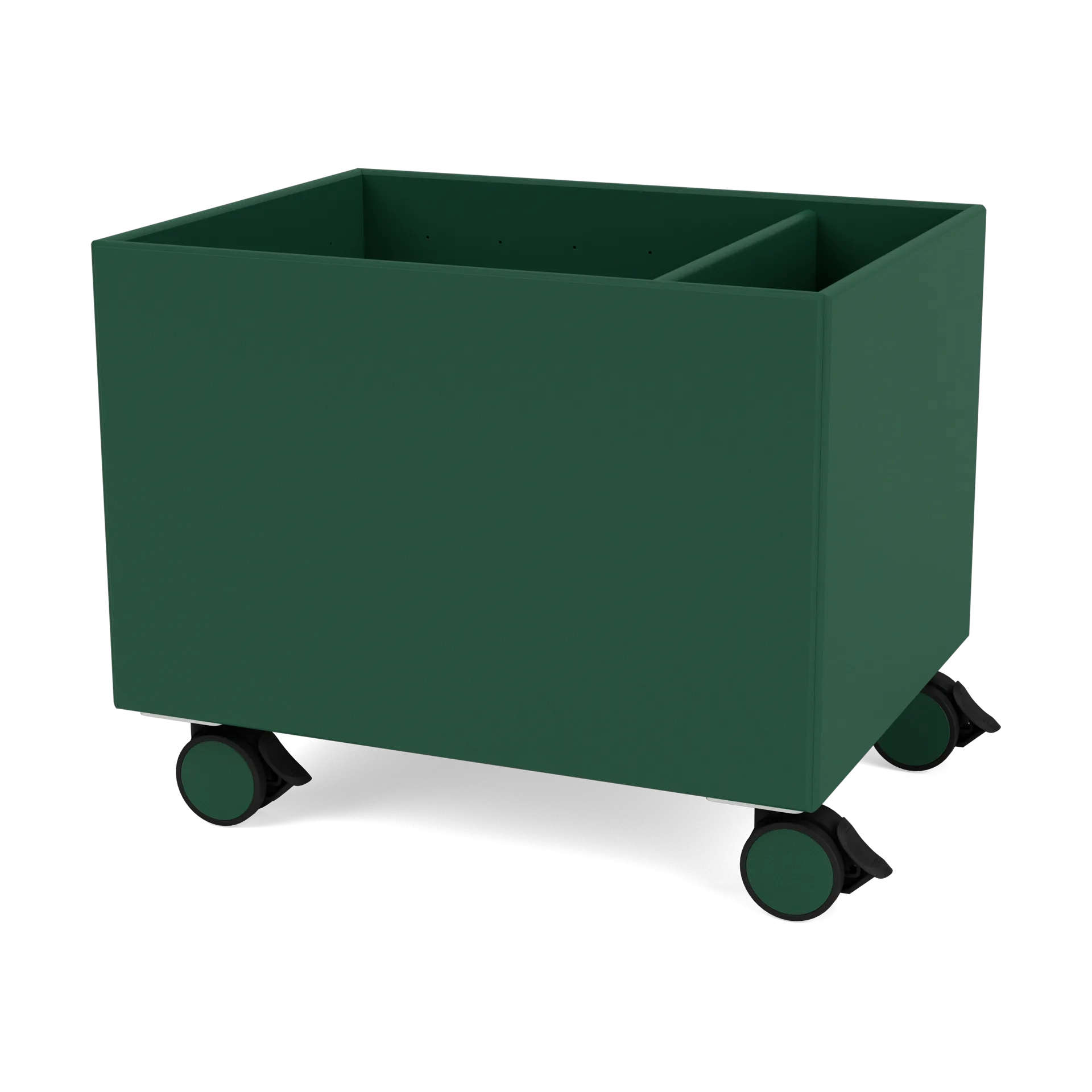 Colour Box II, Pine Montana