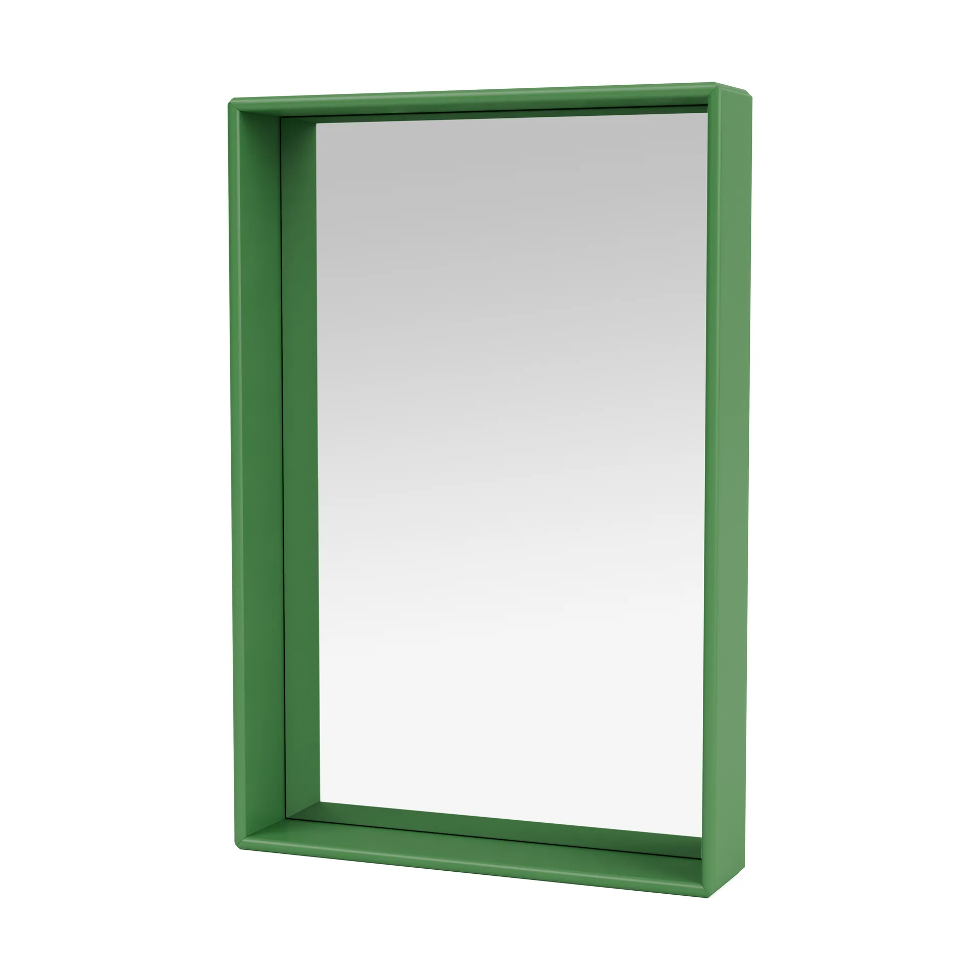 Miroir Shelfie Colour Frame 46,8x69,6 cm, Parsley Montana