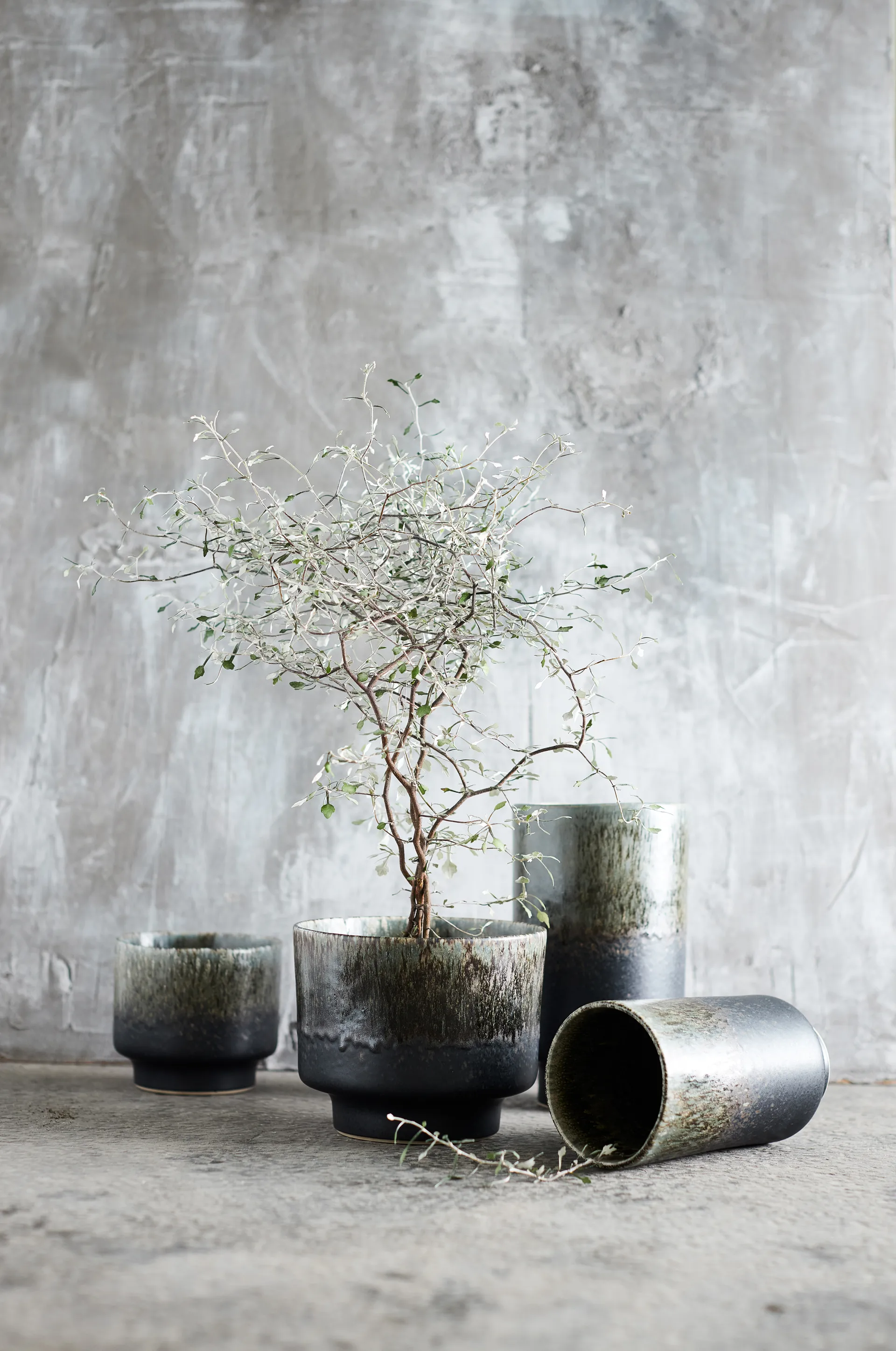 Bocal Lago S Ø12,5x11 cm, Forest green MUUBS