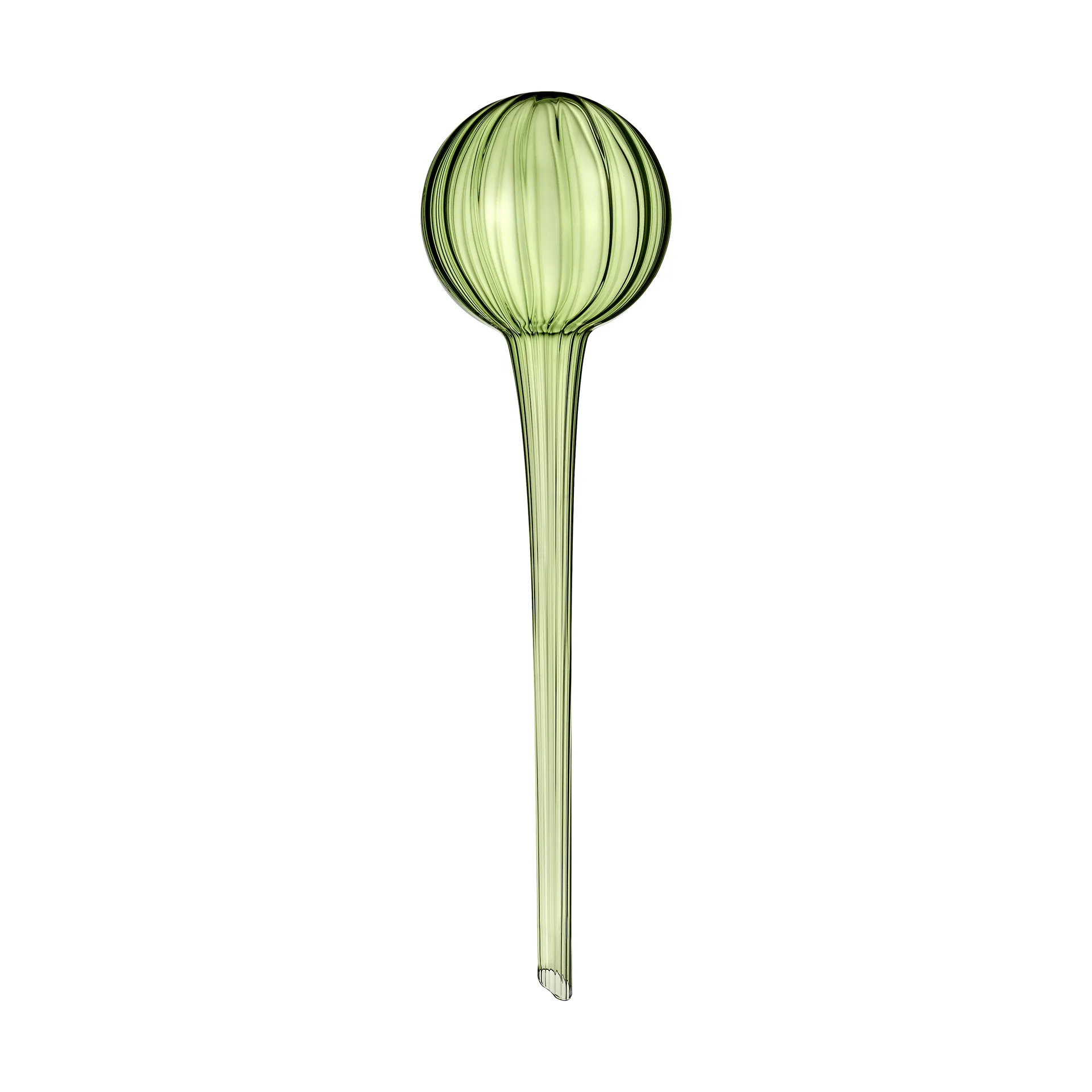 Système d'auto-arrosage Muurla 28 cm, Vert Muurla