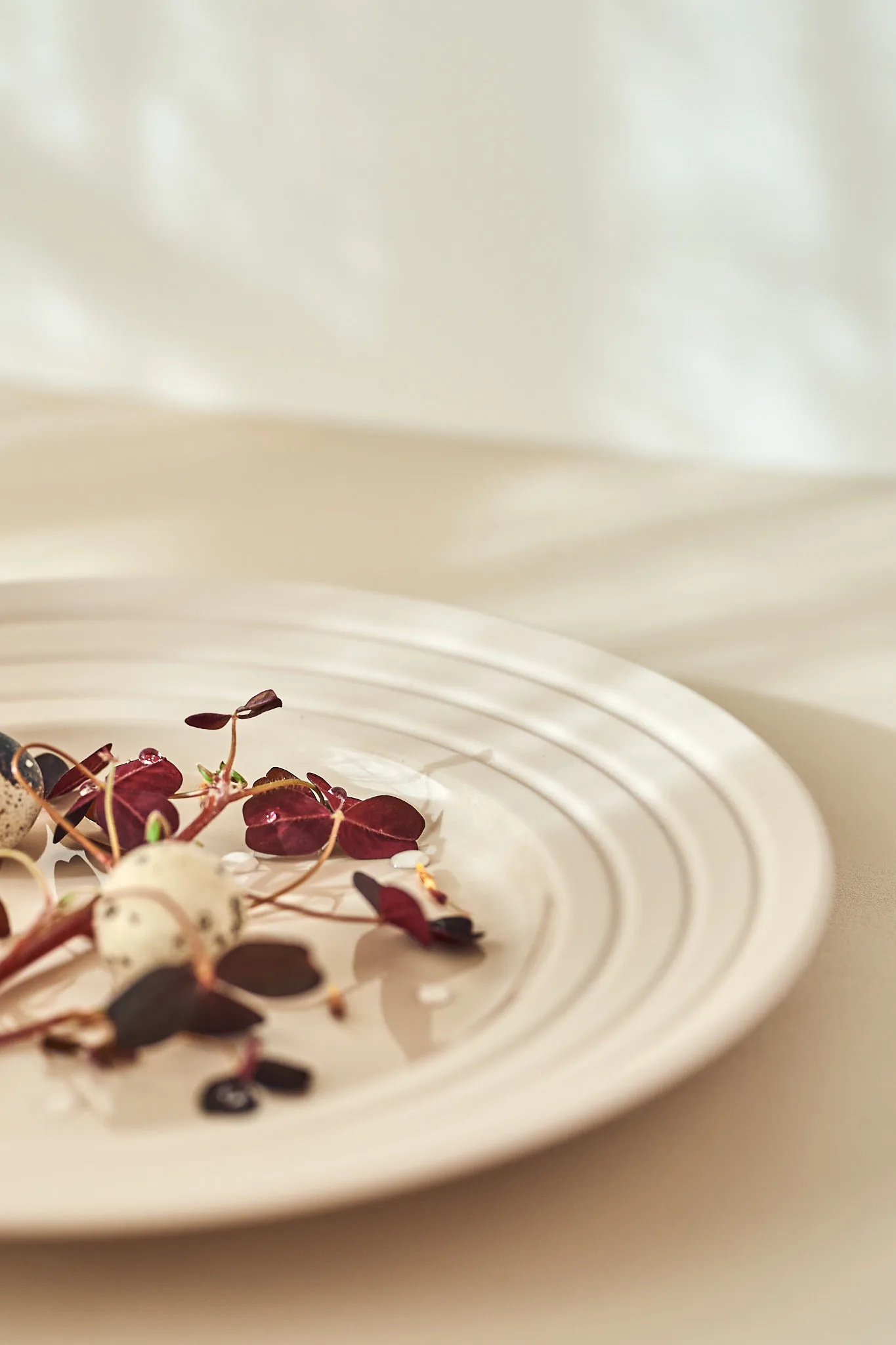 Assiette Lines Ø27 cm, Beige NJRD