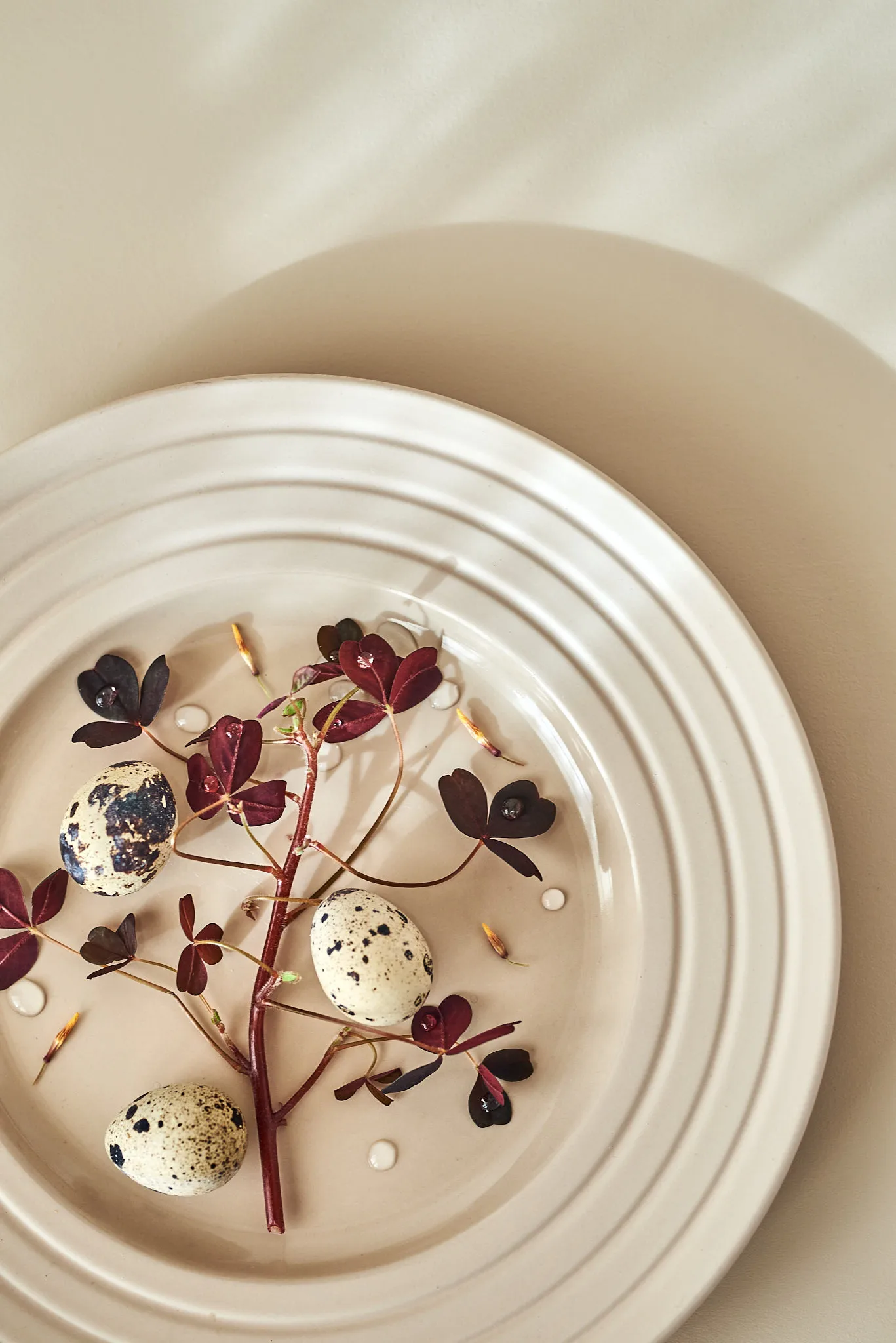 Assiette Lines Ø27 cm Lot de 6, Beige NJRD