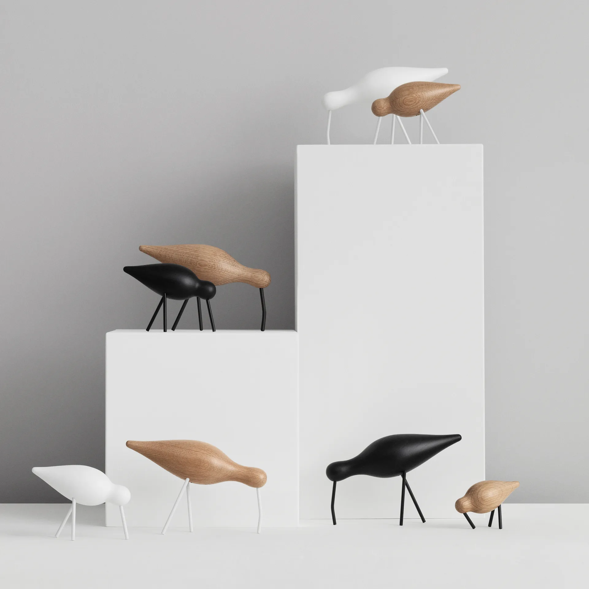 Oiseau marin chêne-blanc, moyen Normann Copenhagen