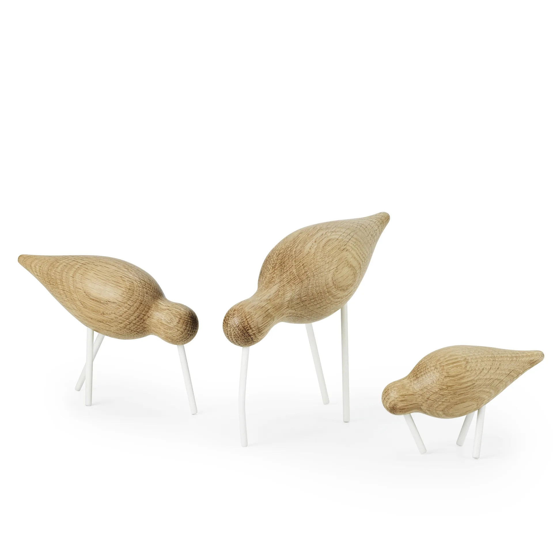 Oiseau marin chêne-blanc, petit Normann Copenhagen