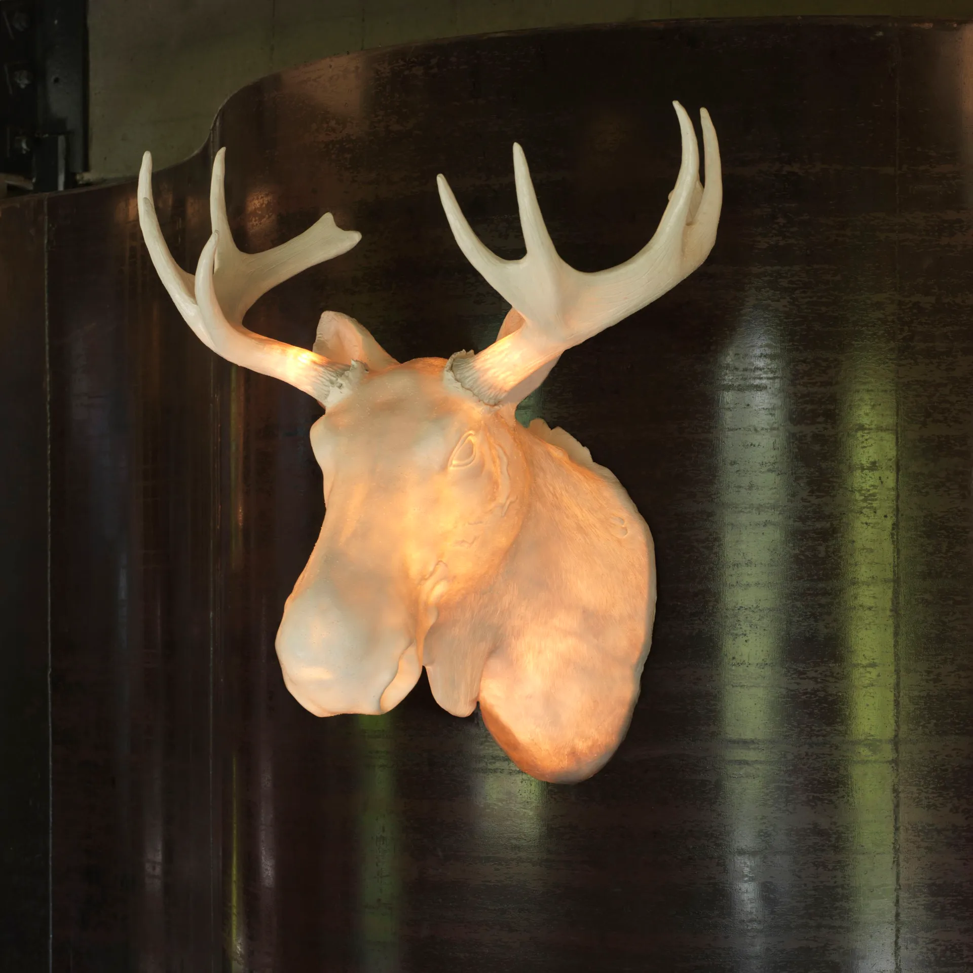 Applique murale Moo, blanc Northern