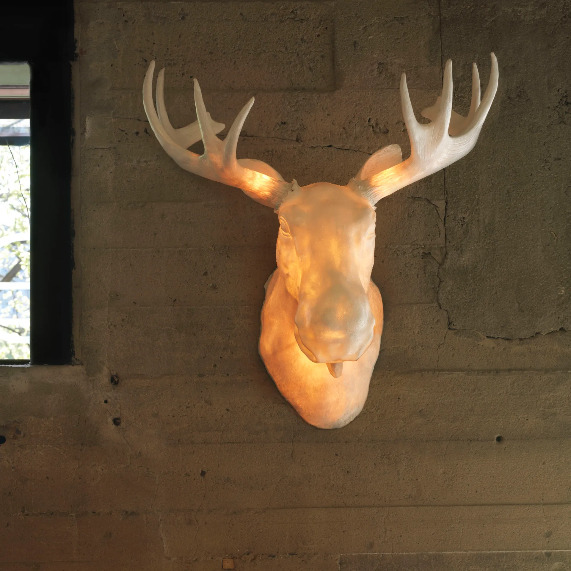 Applique murale Moo, blanc Northern