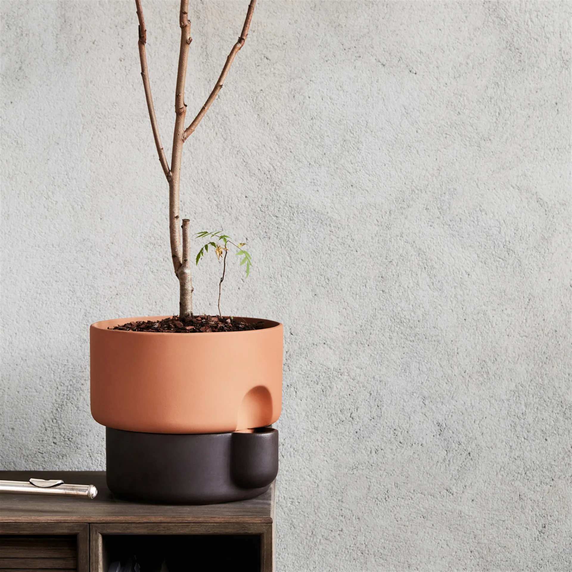 Cache-pot avec auto-arrosage Oasis grand Ø27.5 cm, Terracotta-Noir Northern