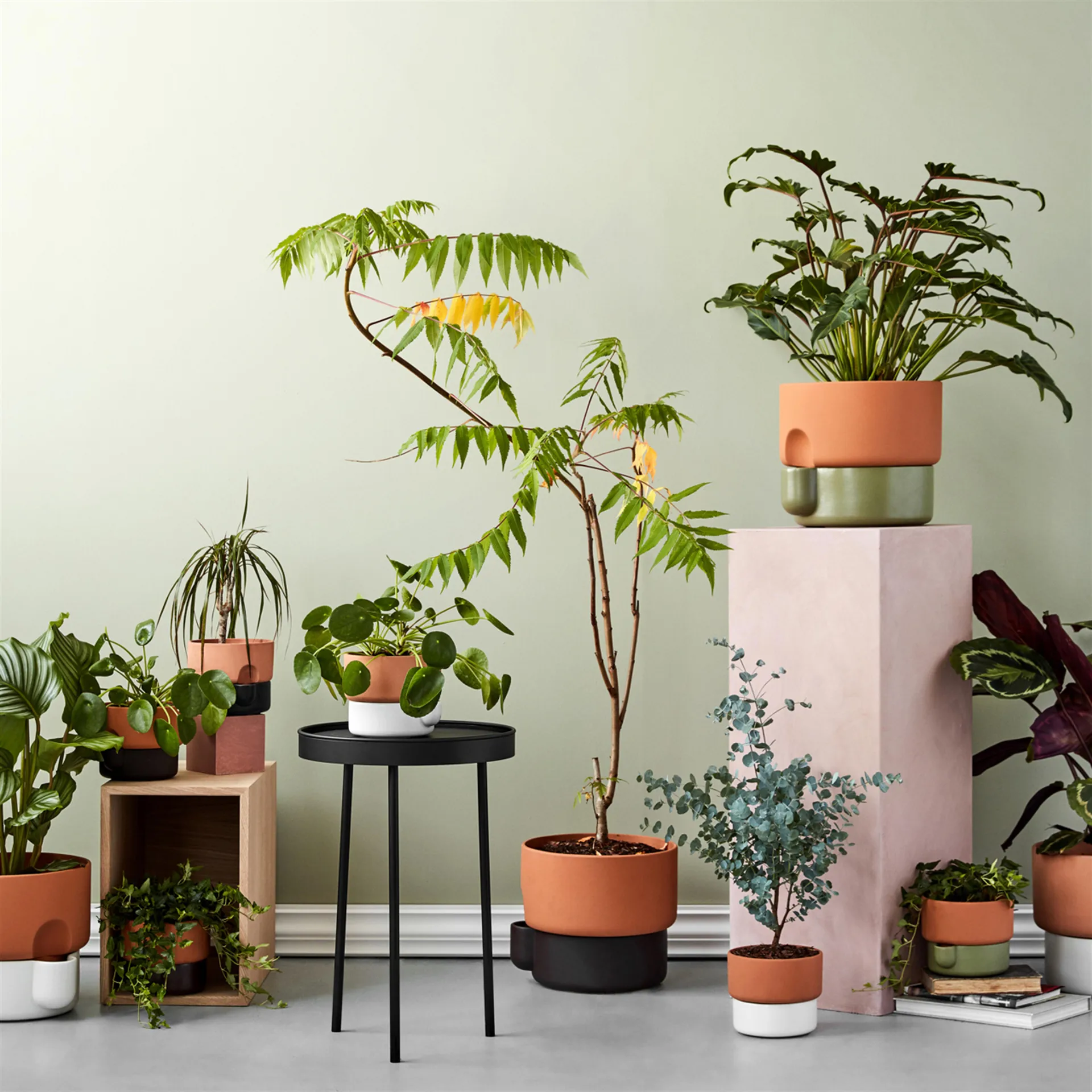 Cache-pot avec auto-arrosage Oasis grand Ø27.5 cm, Terracotta-Noir Northern