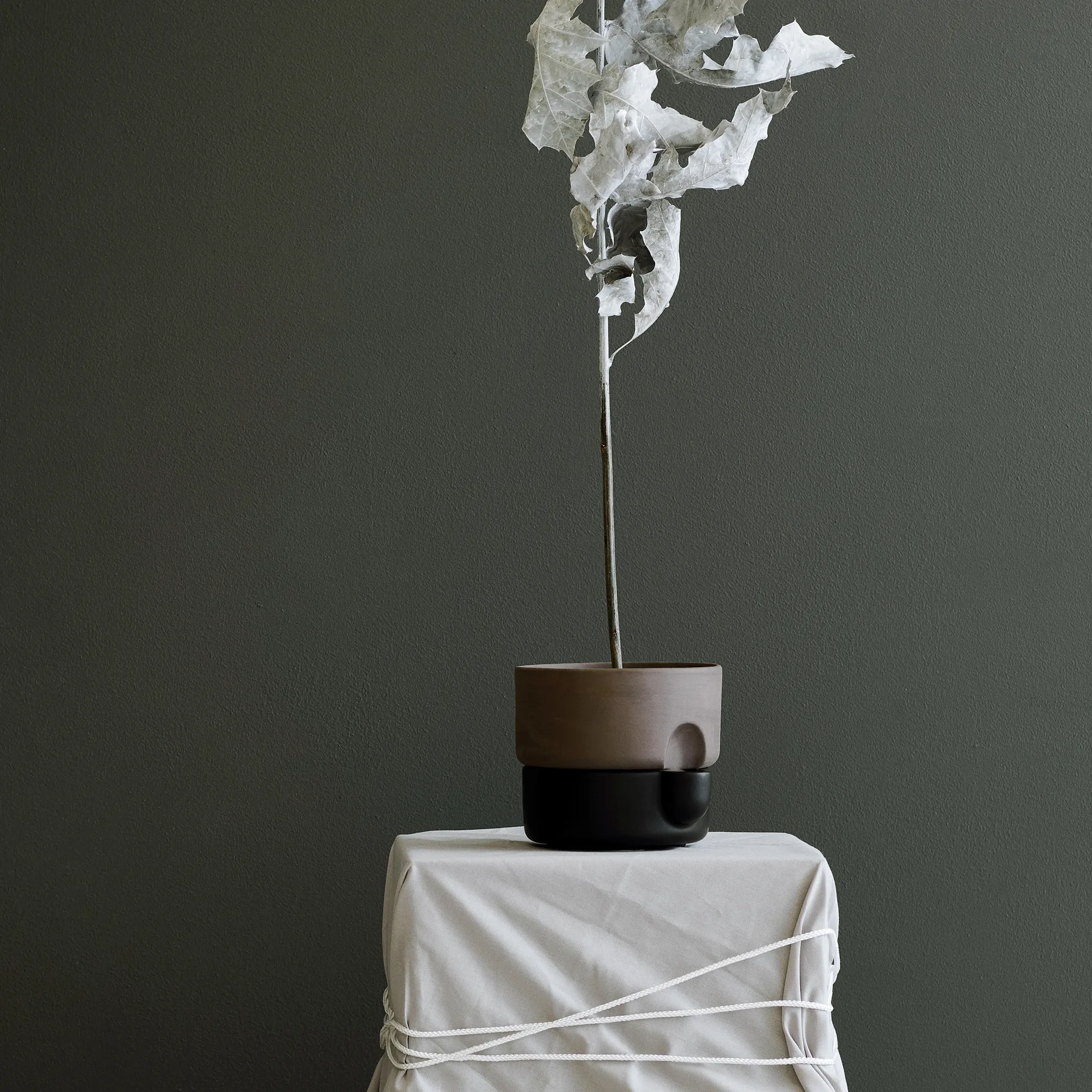 Cache-pot avec auto-arrosage Oasis petit Ø15 cm, Noir Northern