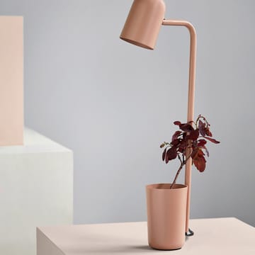 Lampe de bureau Buddy - Warm beige - Northern