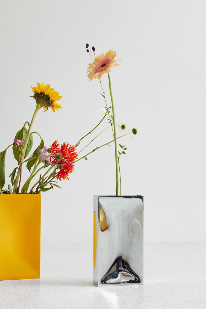 Vase Into, Mirror Northern