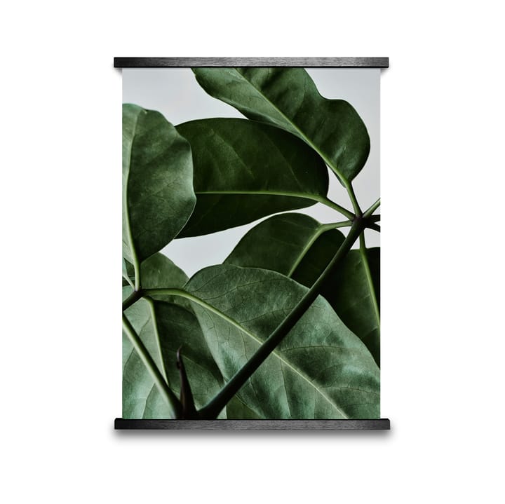 Green Home 01 poster - 30 x 40 cm - Paper Collective