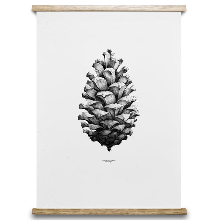 Poster 1:1 Pine Cone - blanc, 50x70 cm - Paper Collective