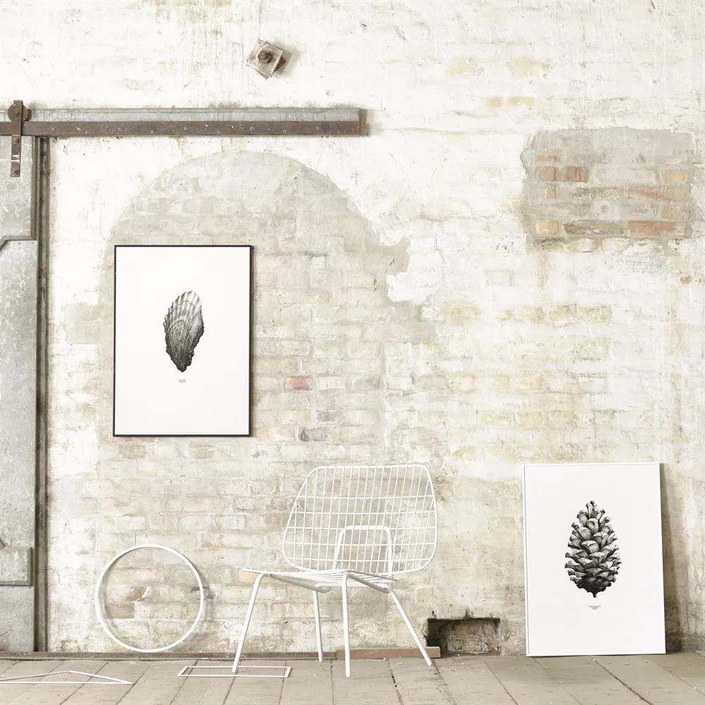 Poster 1:1 Pine Cone, blanc, 50x70 cm Paper Collective