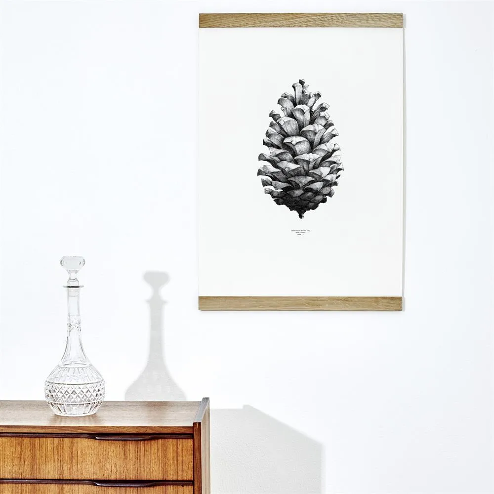 Poster 1:1 Pine Cone, blanc, 50x70 cm Paper Collective