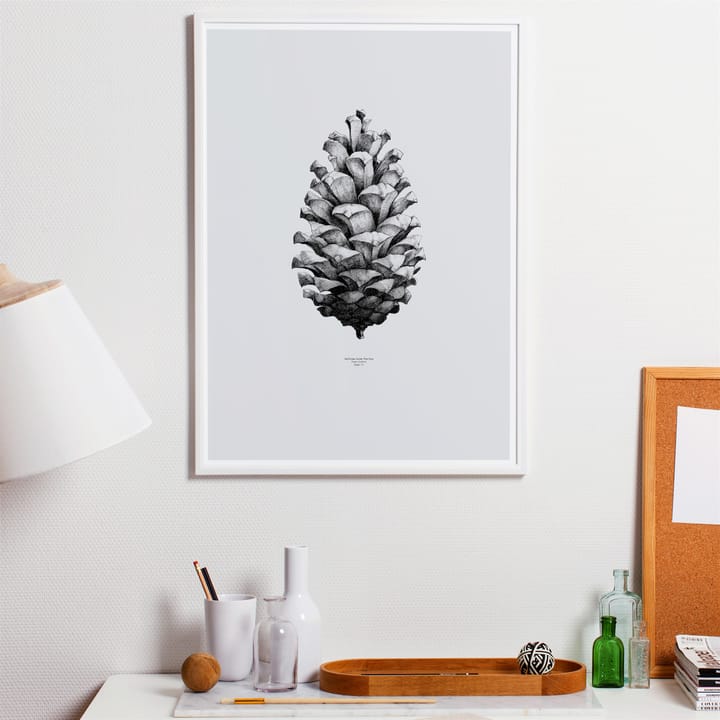 Poster 1:1 Pine Cone - gris, 50x70 cm - Paper Collective