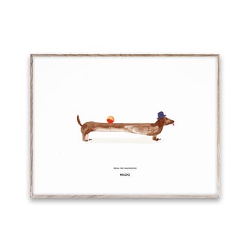Poster Doug the Dachshund - 30x40 cm - Paper Collective