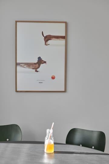 Poster Doug the Dachshund - 50x70 cm - Paper Collective