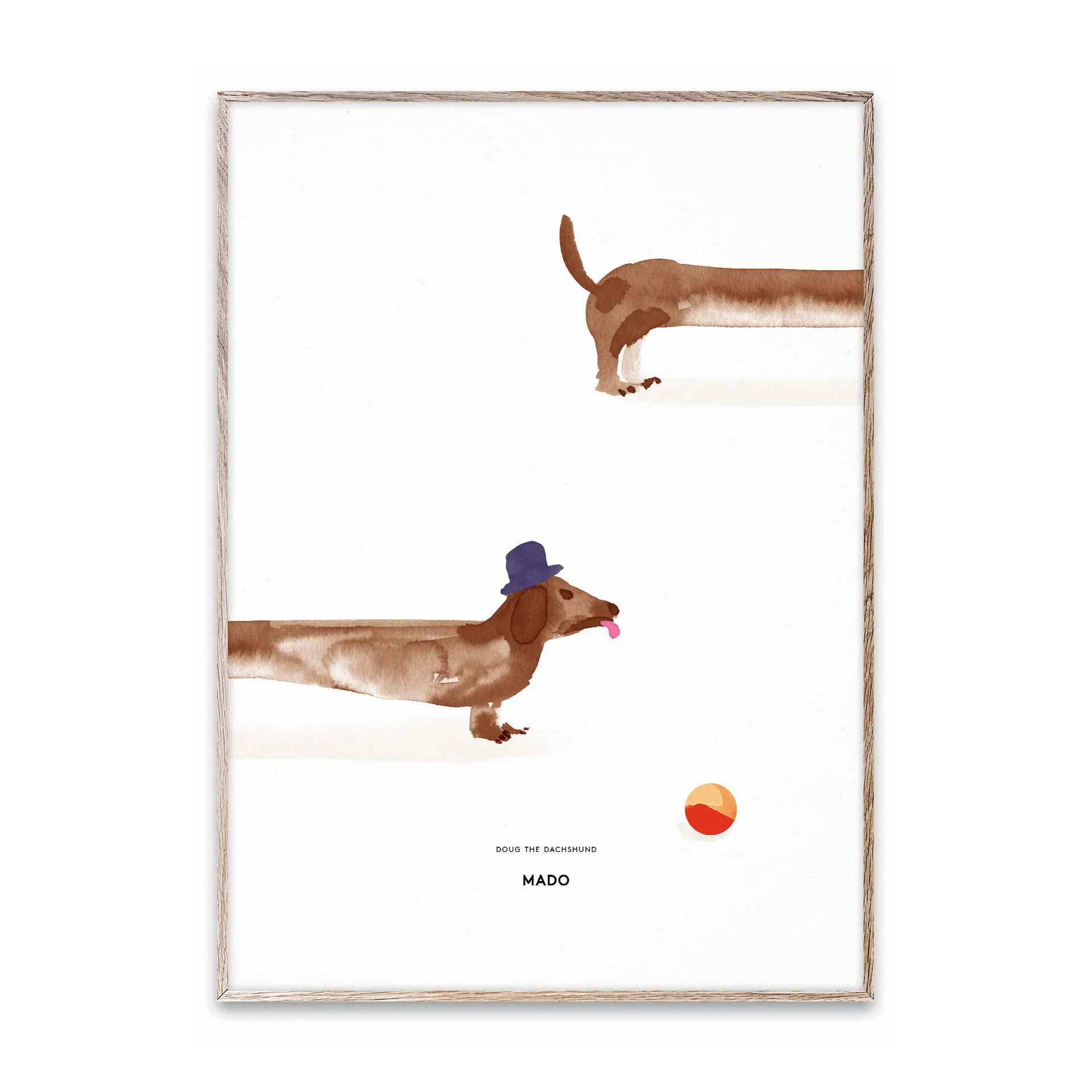 Poster Doug the Dachshund, 50x70 cm Paper Collective