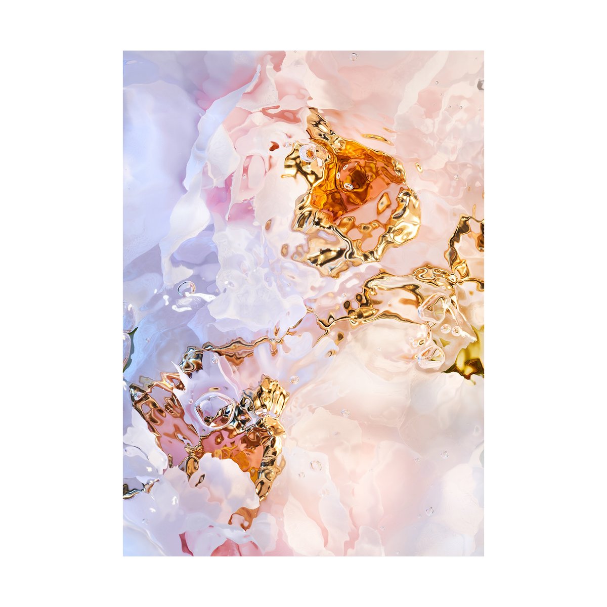 Paper Collective Poster Flora Aquatica 03 30x40 cm | Design Scandinave | Posters | Multi
