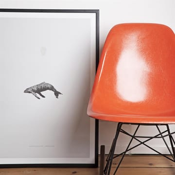 Poster Whale Reprise - 50x70 cm - Paper Collective