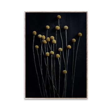 Still Life 01 Yellow Drumsticks poster - 30 x 40 cm - Paper Collective