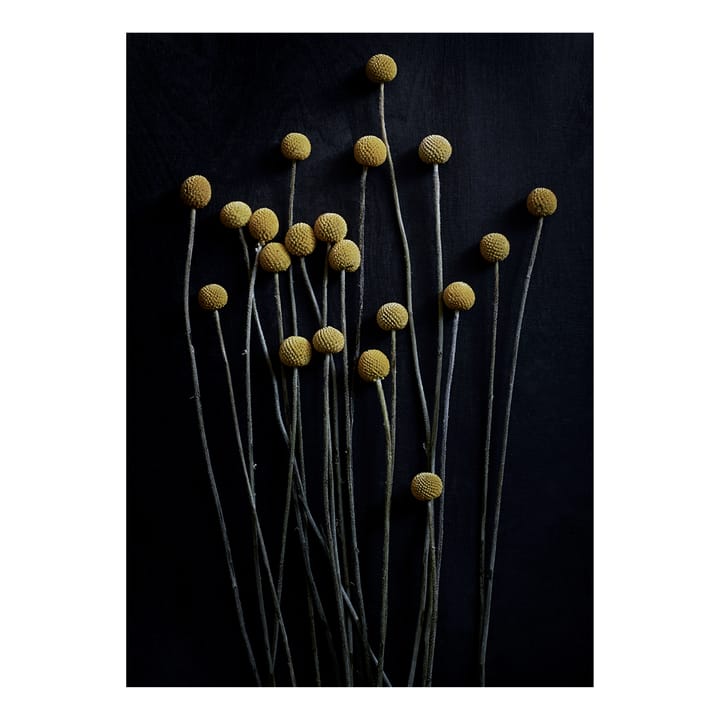 Still Life 01 Yellow Drumsticks poster - 30 x 40 cm - Paper Collective
