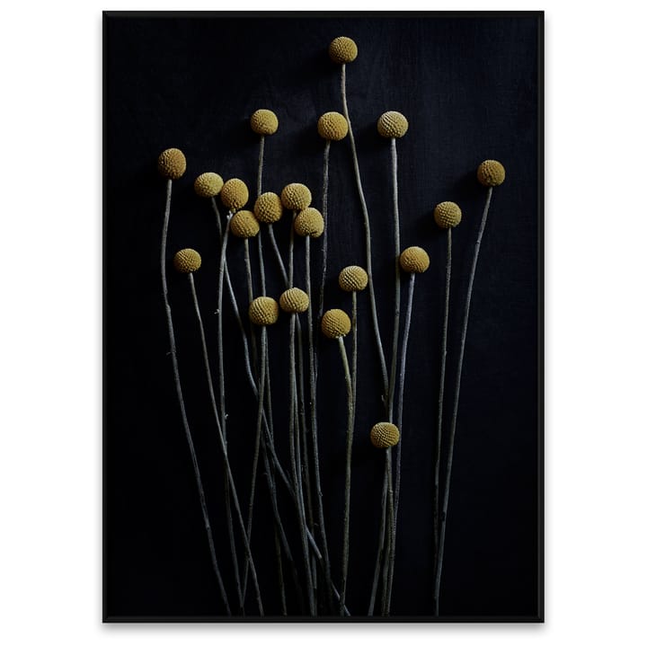 Still Life 01 Yellow Drumsticks poster - 50 x 70 cm - Paper Collective