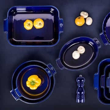 Moule en céramique Appolia Ø23 cm - Bleu - Peugeot