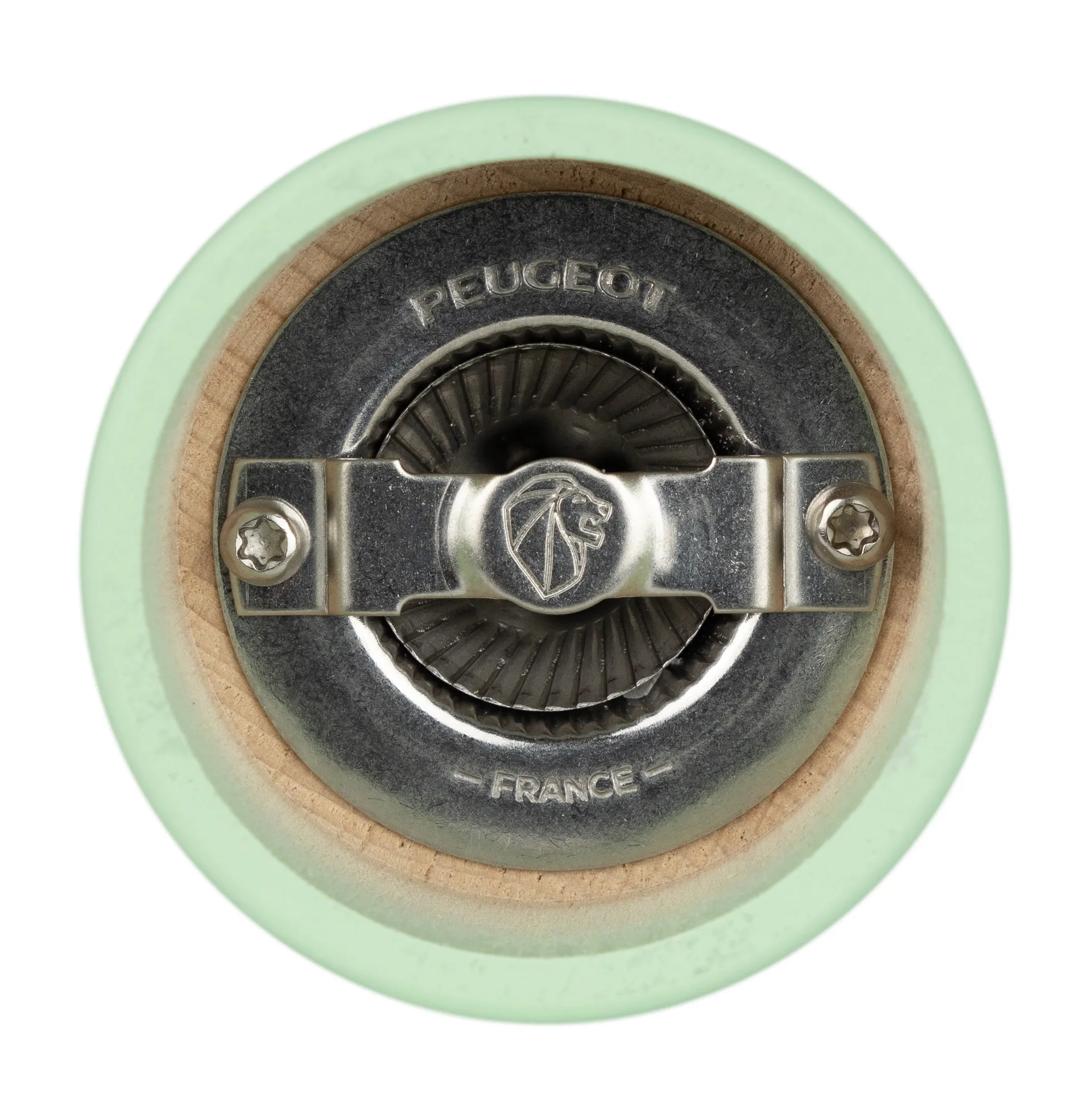 Set de moulins à sel et à poivre Tahiti Water 15 cm, Moss & mint Peugeot