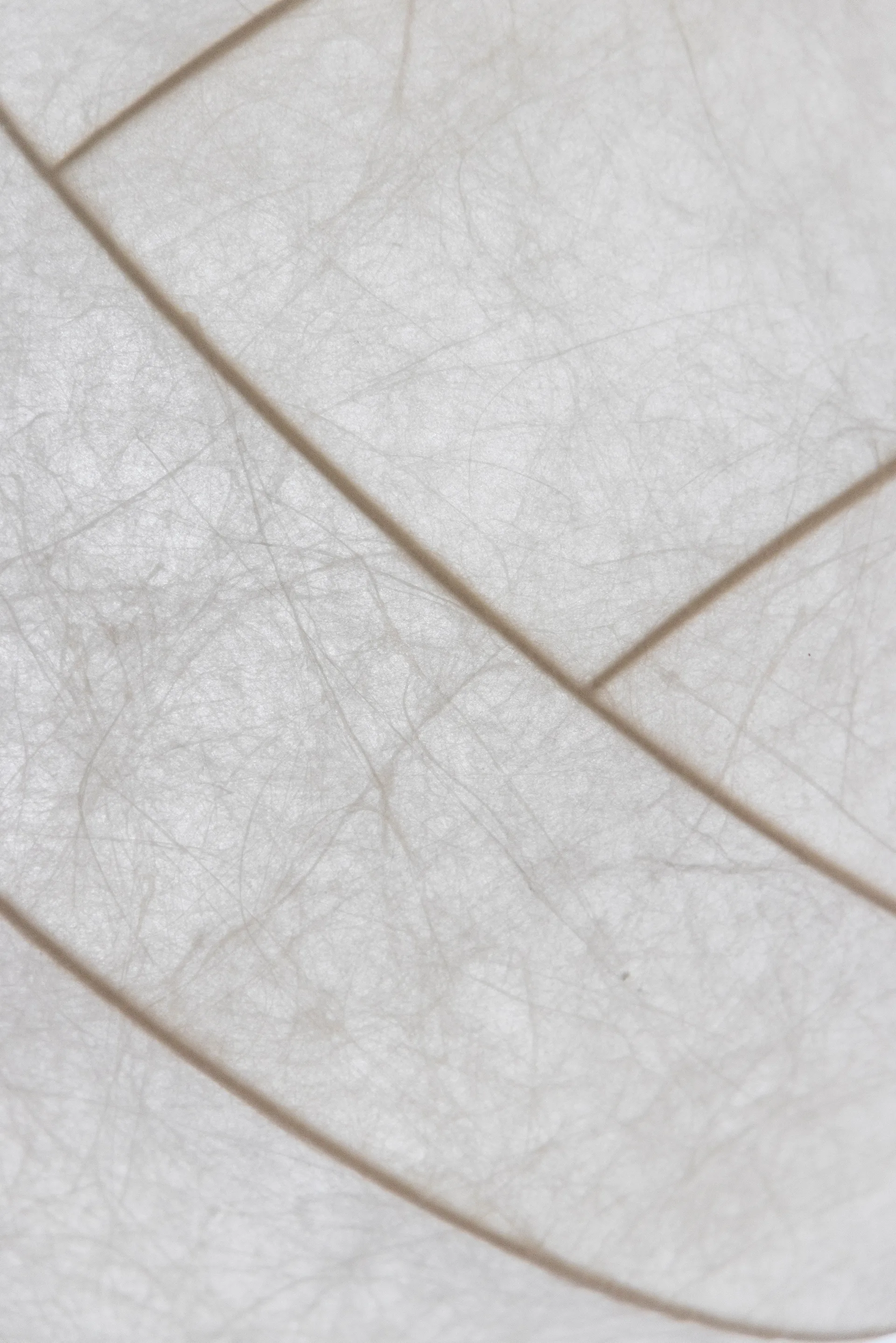 Suspension Turner 80, Blanc Pholc