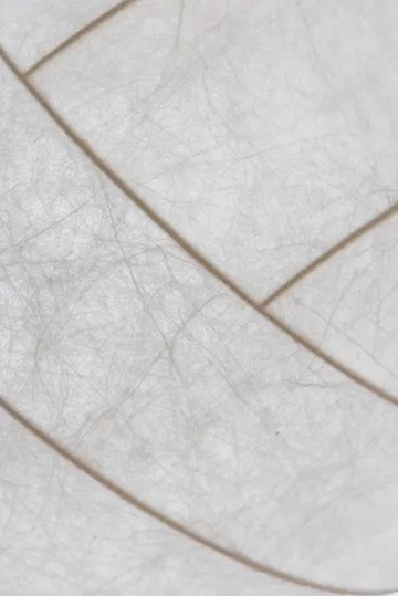 Suspension Turner 80 - Blanc - Pholc