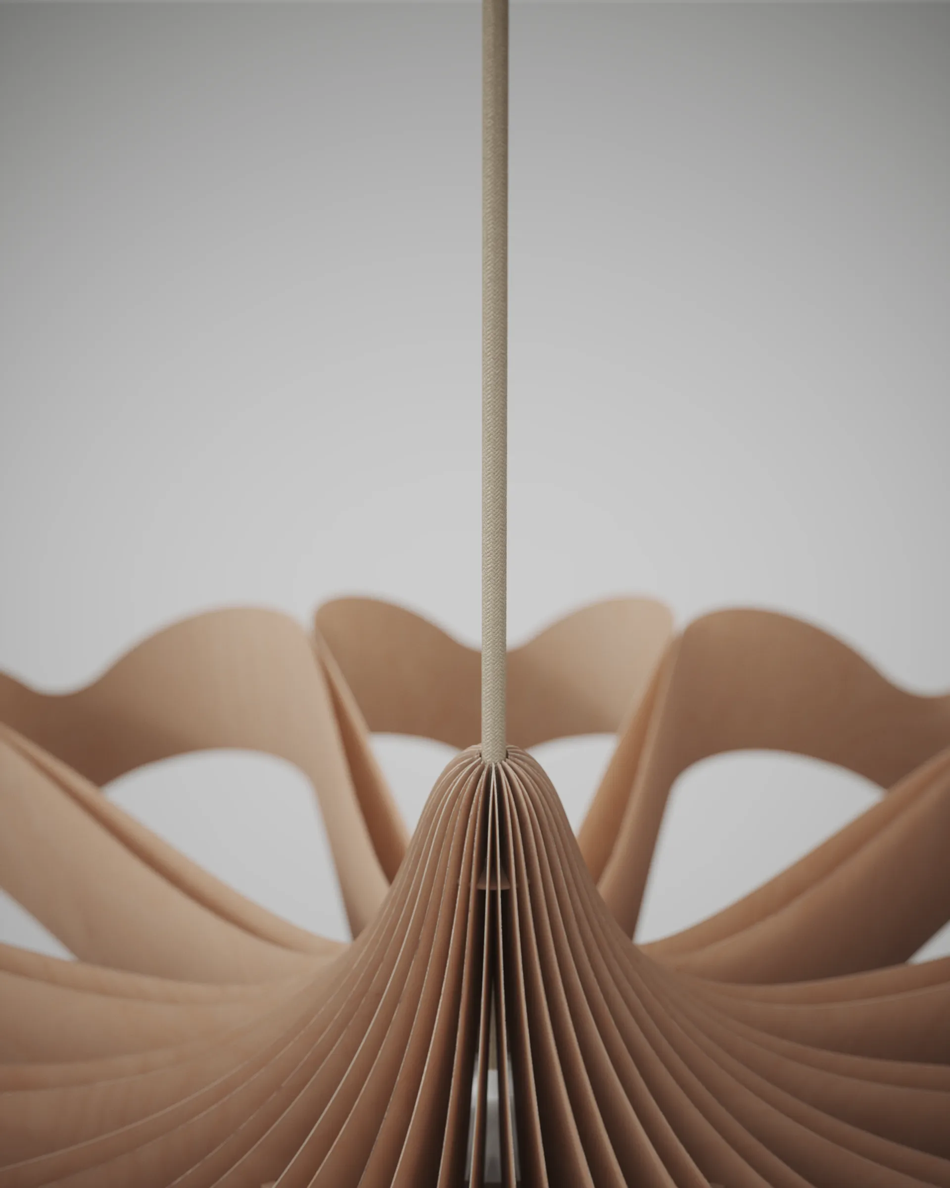 Suspension Daisy, Björk grand Pilke