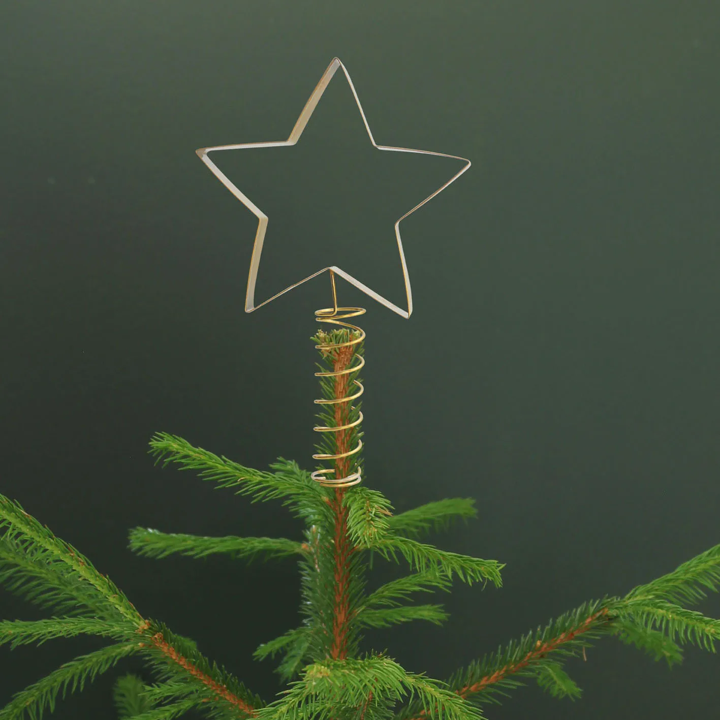 Décoration pour sapin Pluto, Etoile Pluto Design