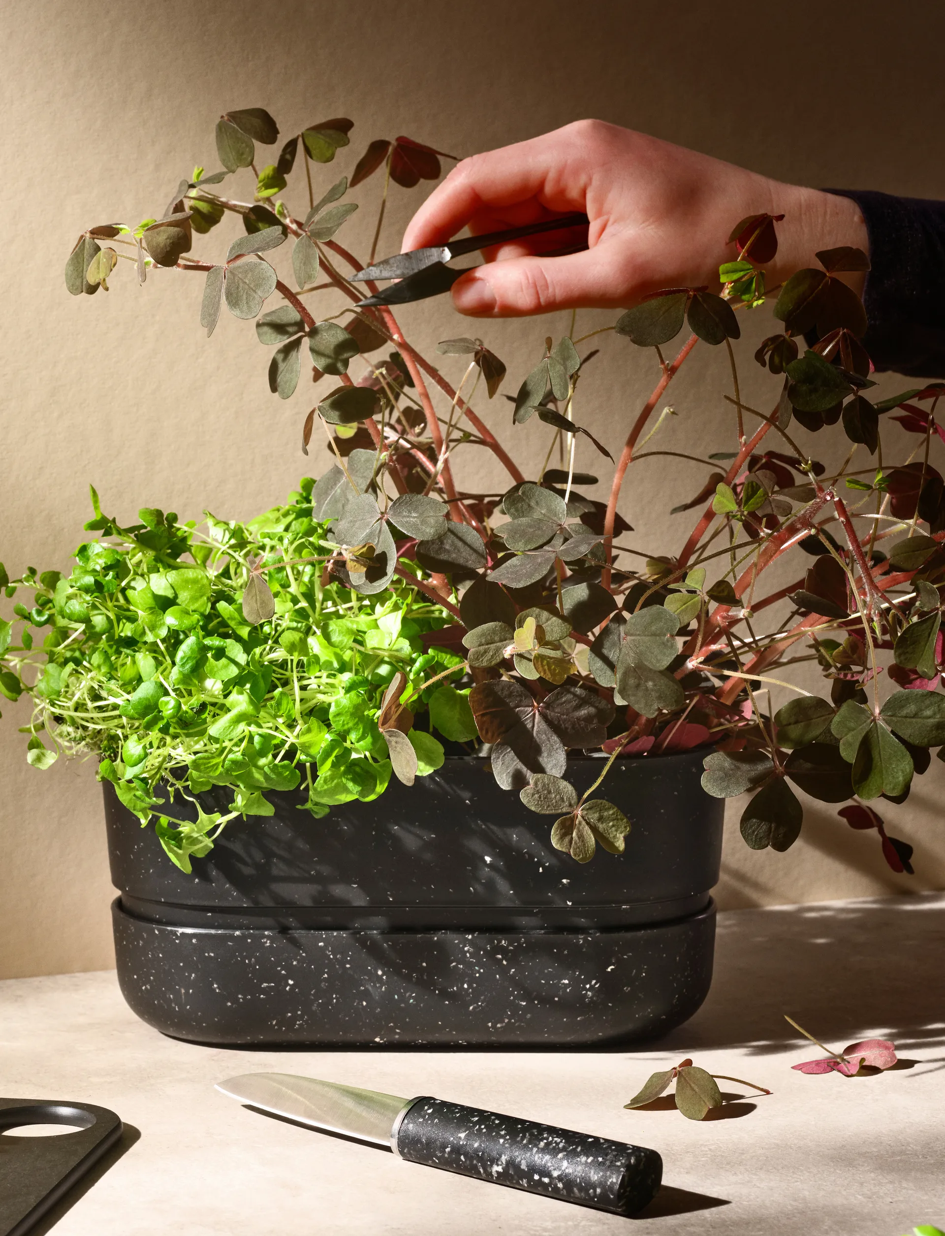 Couteau éplucheur REDO 18,8 cm, Black RIG-TIG