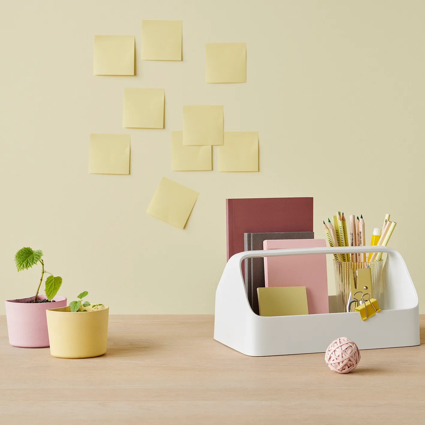 Pot avec graines YOUR TREE, Rose (Bouleau) RIG-TIG