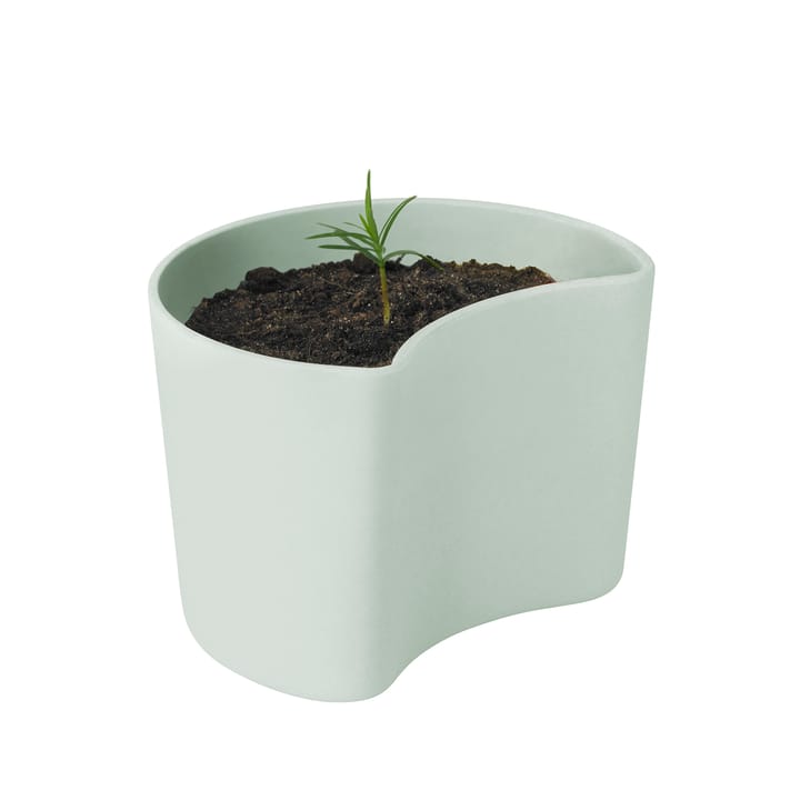 Pot avec graines YOUR TREE - Vert (Pin) - RIG-TIG