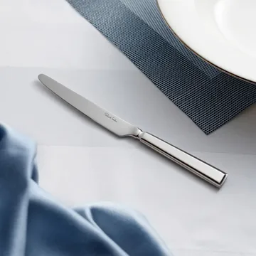 Couteau à entrée Fairford bright - Acier inoxydable, 21,3 cm - Robert Welch