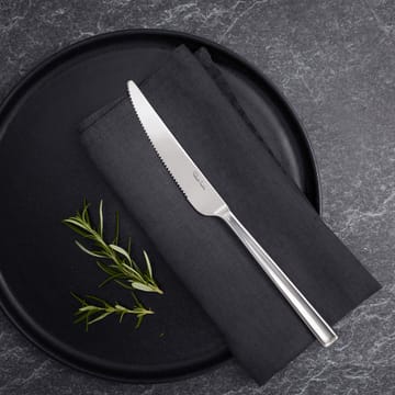 Couteau à viande Blockley Brillant - Acier inoxydable - Robert Welch