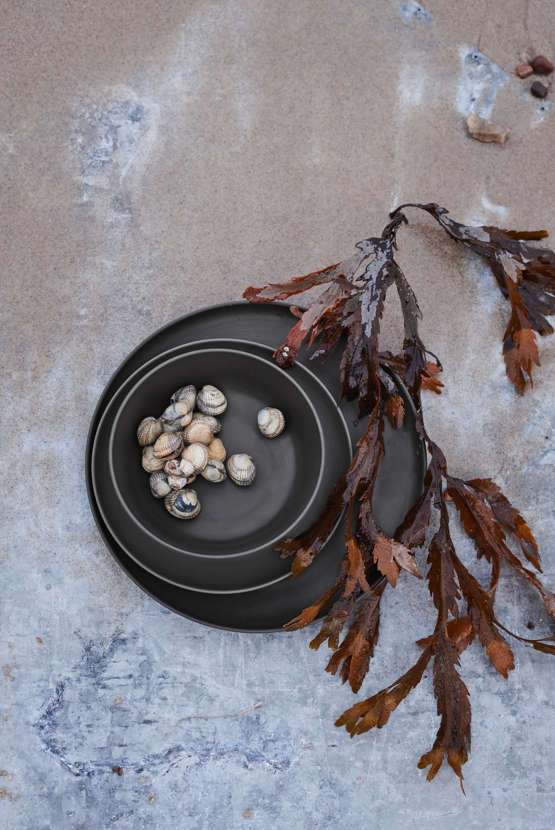 Assiette en mélamine Grand Cru Take Ø26 cm Lot de 2, Gris Rosendahl