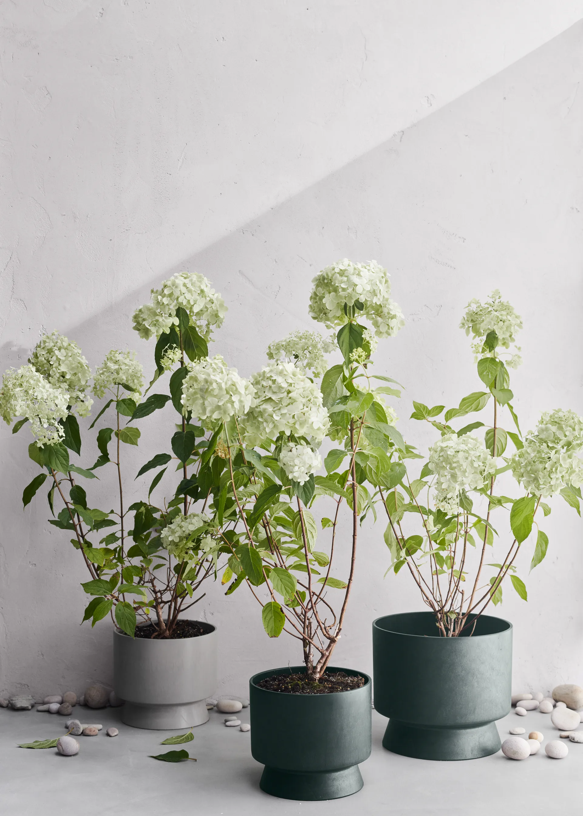Pot de fleur Ro Ø30 cm, Vert foncé Rosendahl