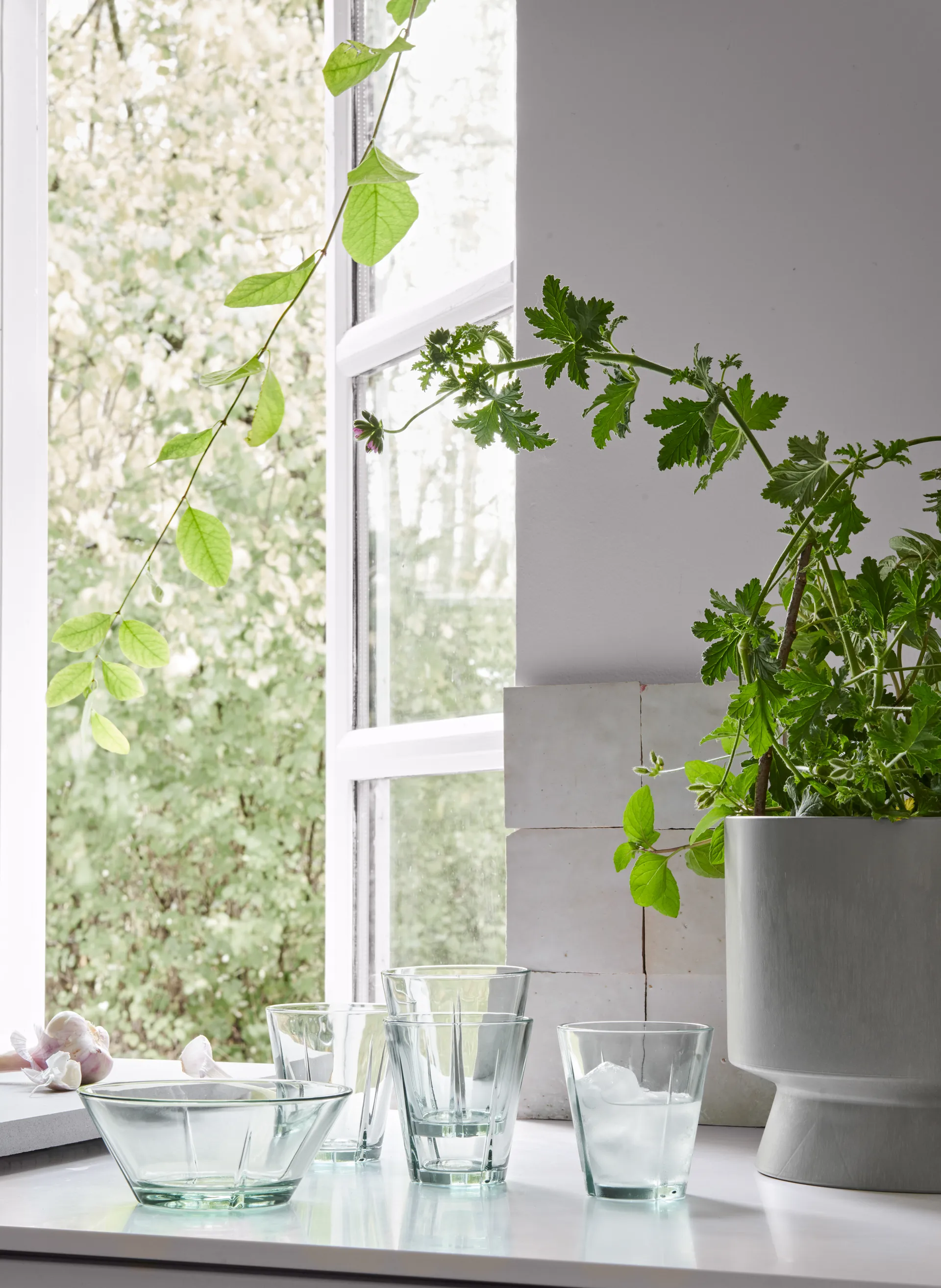 Verre à eau Grand Cru Reduce 26 cl Lot de 4, Verre recyclé Rosendahl